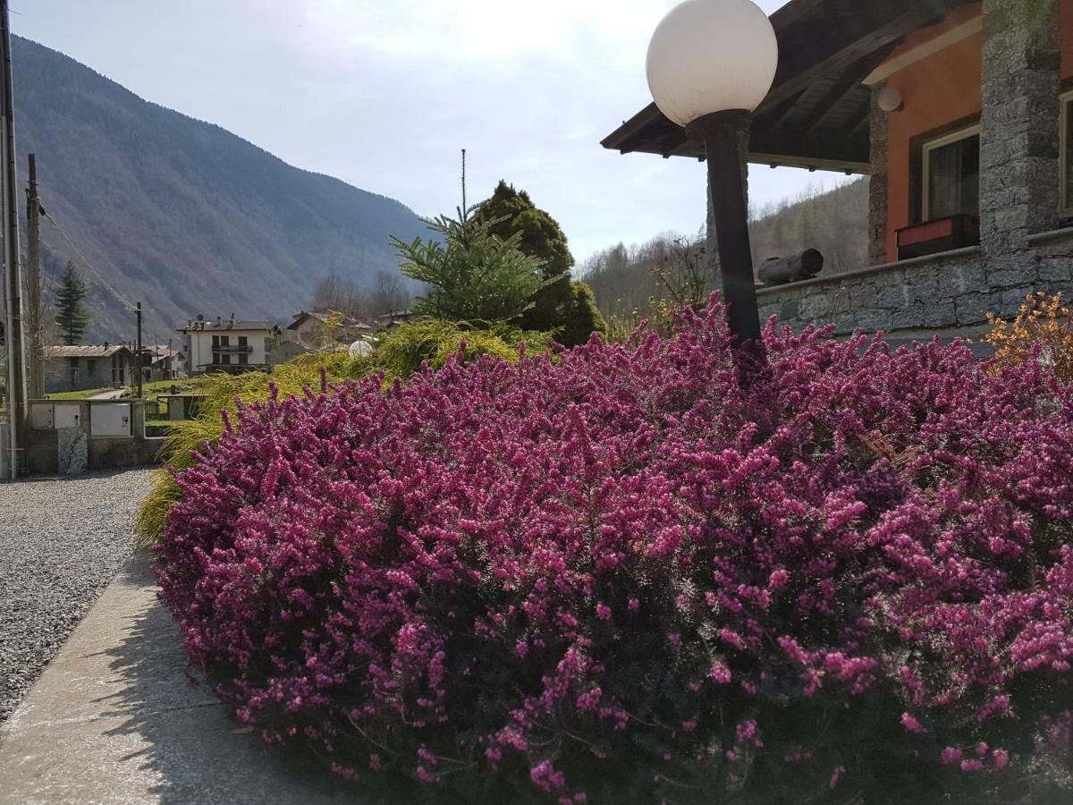 Hotel Ristorante Sasso Remenno Val Masino Екстериор снимка